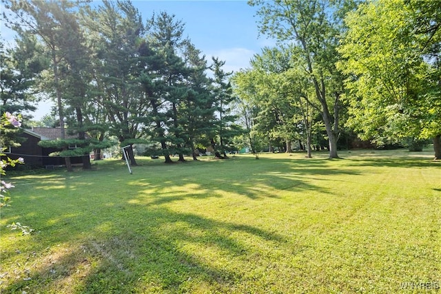 4840 Meyer Rd, Pendleton, NY 14120 - photo 24
