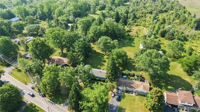 4840 Meyer Rd, Pendleton, NY 14120 - photo 25