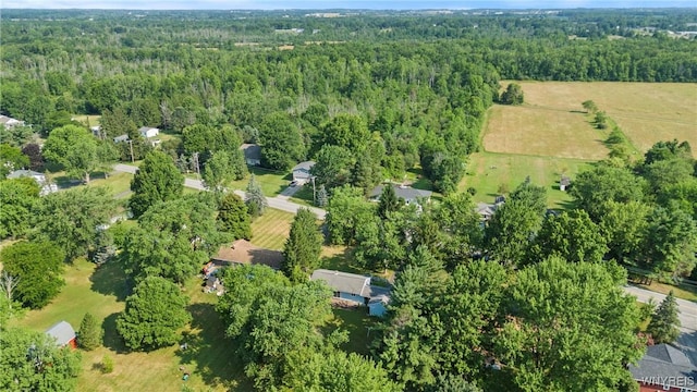 4840 Meyer Rd, Pendleton, NY 14120 - photo 27