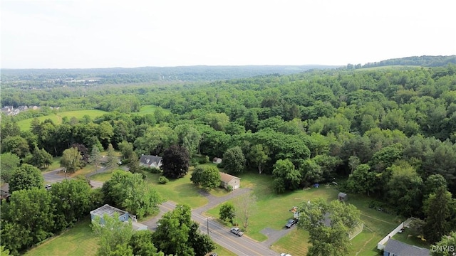 3328 Warners Rd, Camillus, NY 13031 - photo 38