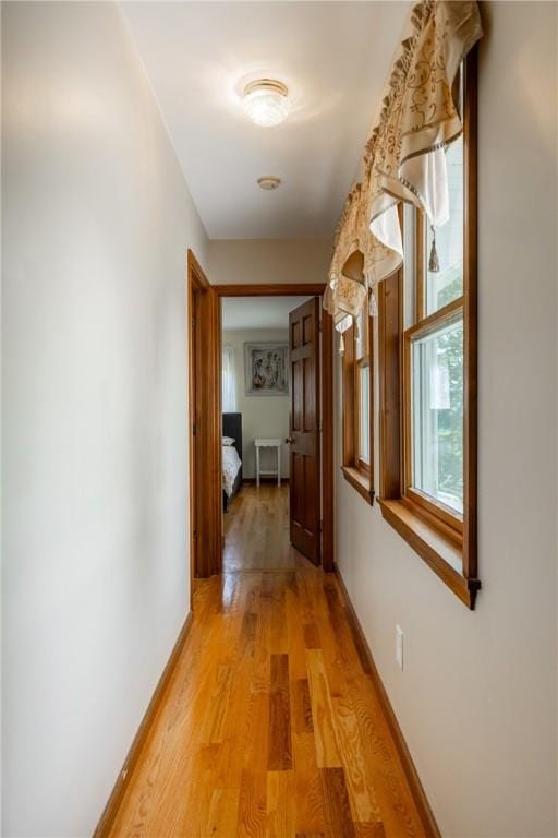 4962 Taft Rd, Campbell, NY 14870 - photo 5