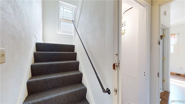 79 Eaglewood Ave, Buffalo, NY 14220 - photo 27