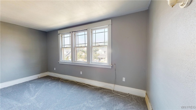 79 Eaglewood Ave, Buffalo, NY 14220 - photo 42