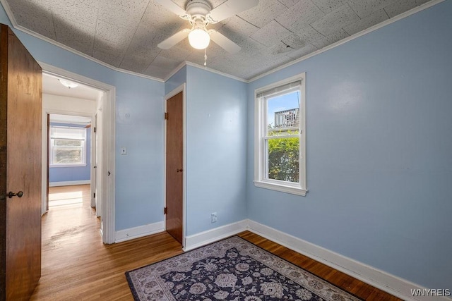 88 Mapleview Rd, Cheektowaga, NY 14225 - photo 19