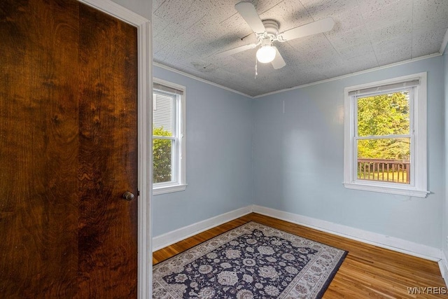 88 Mapleview Rd, Cheektowaga, NY 14225 - photo 20