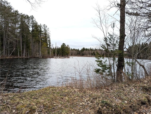 6404 Culpepper Rd, Montague, NY 13367 - photo 8