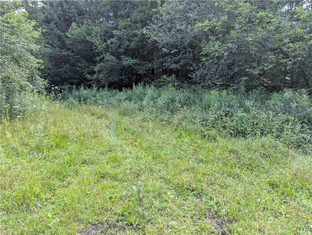 6404 Culpepper Rd, Montague, NY 13367 - photo 4