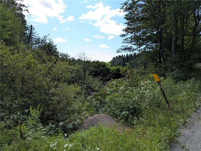 6404 Culpepper Rd, Montague, NY 13367 - photo 5