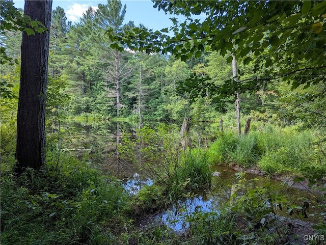 6404 Culpepper Rd, Montague, NY 13367 - photo 6
