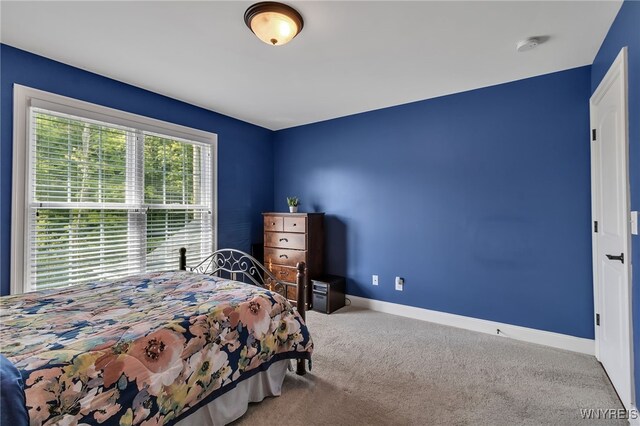 24 Hearthstone Ter, Orchard Park, NY 14127 - photo 30