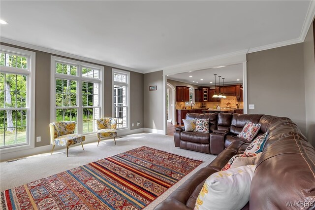 24 Hearthstone Ter, Orchard Park, NY 14127 - photo 23