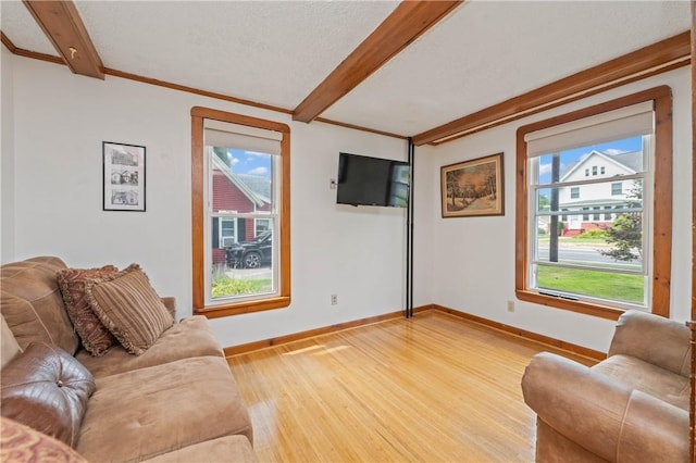 479 Ridge Rd, Webster, NY 14580 - photo 10