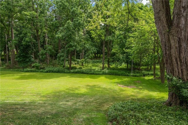 479 Ridge Rd, Webster, NY 14580 - photo 41