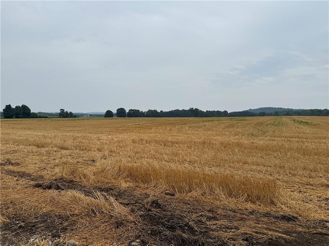 LOT5 Mile Square Rd, Mendon, NY 14506 - photo 3
