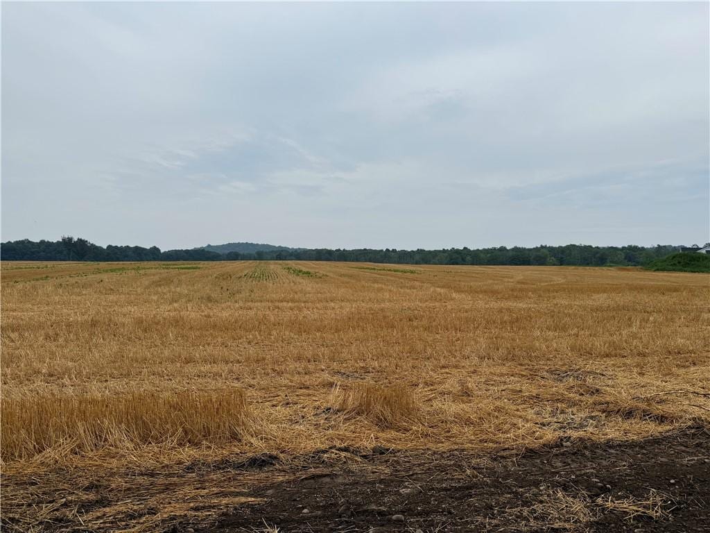 LOT5 Mile Square Rd, Mendon, NY 14506 - photo 4