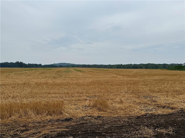 LOT5 Mile Square Rd, Mendon, NY 14506 - photo 4