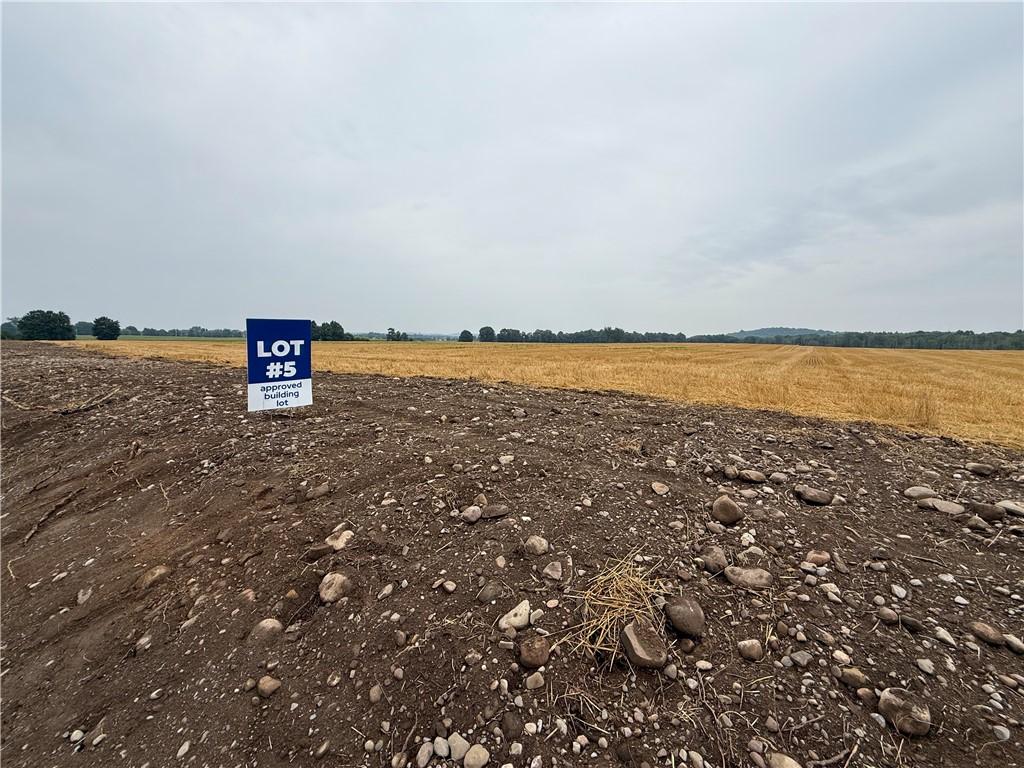 LOT5 Mile Square Rd, Mendon, NY 14506 - photo 1