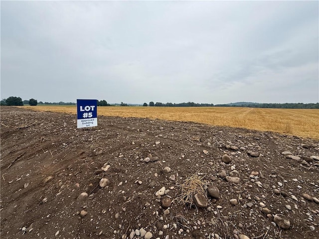 LOT5 Mile Square Rd, Mendon, NY 14506 - photo 1