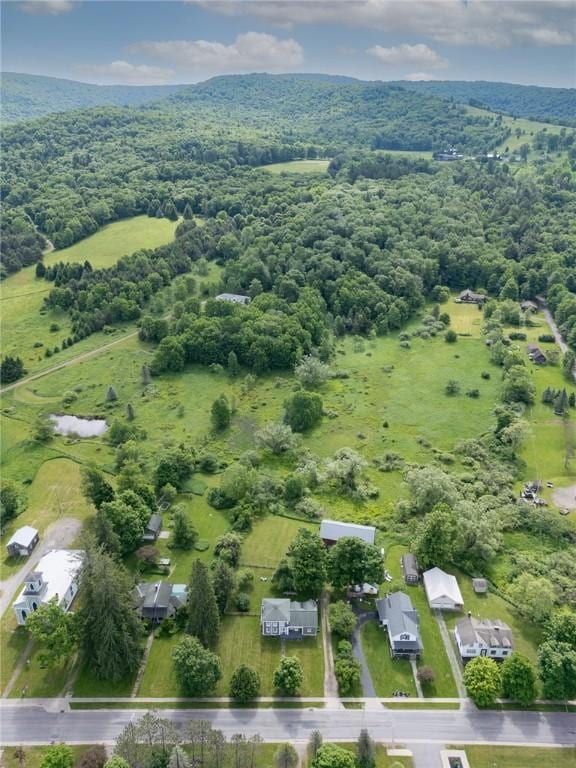 270 Lower Main St, Andes, NY 13731 - photo 30