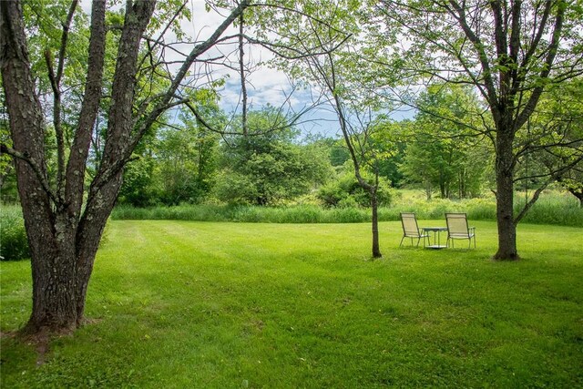 270 Lower Main St, Andes, NY 13731 - photo 32