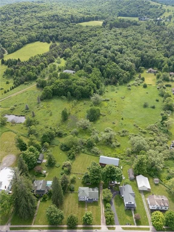 270 Lower Main St, Andes, NY 13731 - photo 34