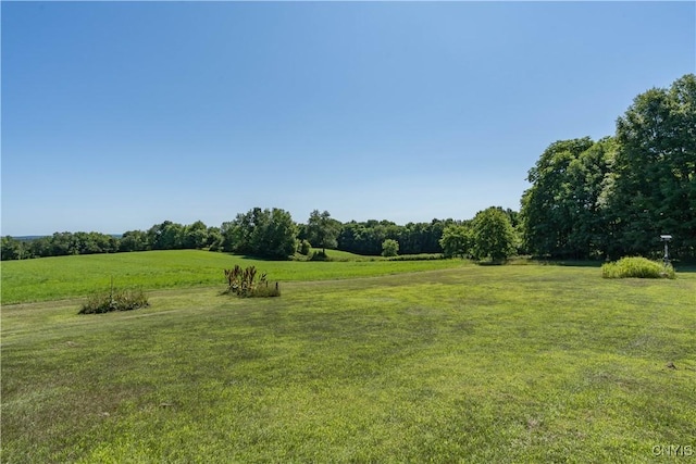 9778 E Rd, Denmark, NY 13367 - photo 4
