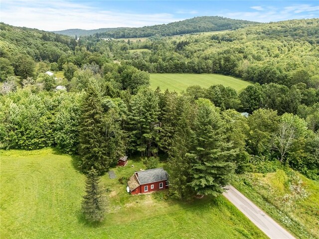 6275 Fall Clove Rd, Andes, NY 13752 - photo 22