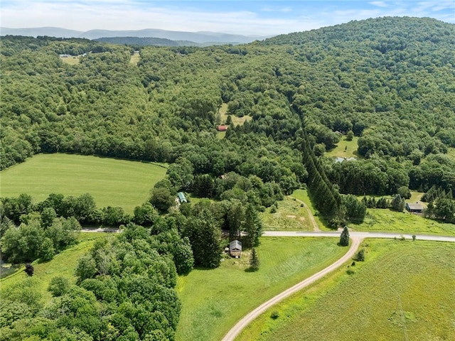 6275 Fall Clove Rd, Andes, NY 13752 - photo 24