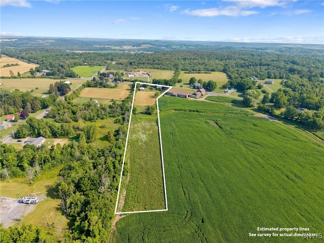 954 Stump Rd, Skaneateles, NY 13152 - photo 42