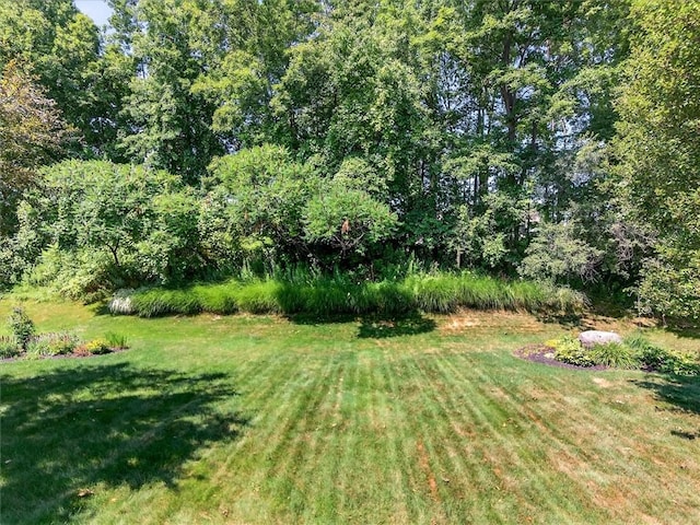 1155 Twin Leaf, Webster, NY 14580 - photo 41