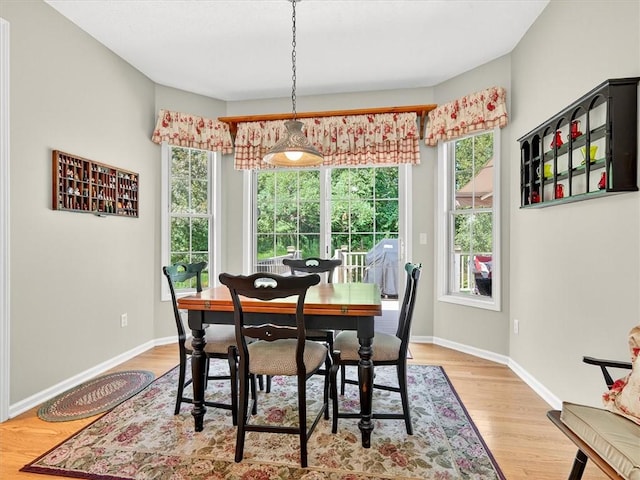 1155 Twin Leaf, Webster, NY 14580 - photo 23
