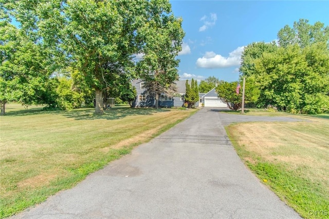 23638 State Route 37, Pamelia, NY 13601 - photo 31