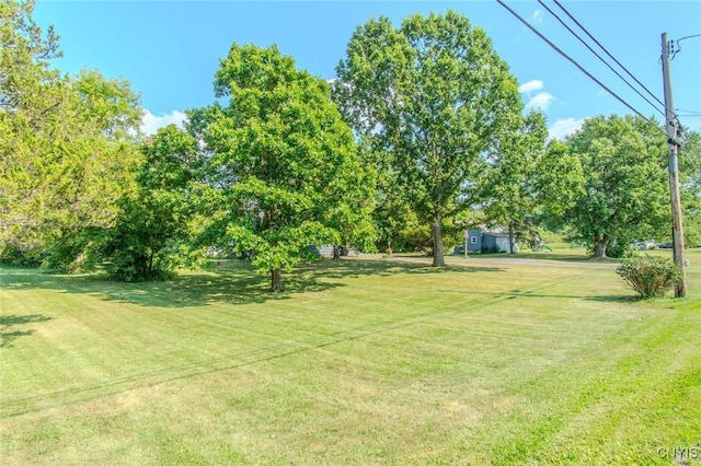 23638 State Route 37, Pamelia, NY 13601 - photo 32