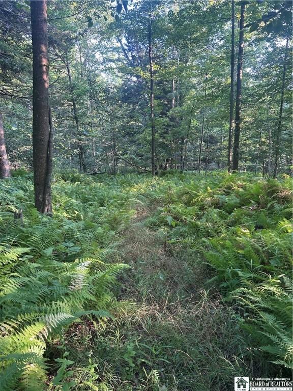 6715 Bailey Hill Rd, Leon, NY 14719 - photo 4