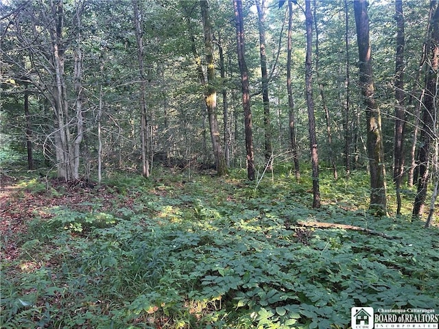 6715 Bailey Hill Rd, Leon, NY 14719 - photo 6