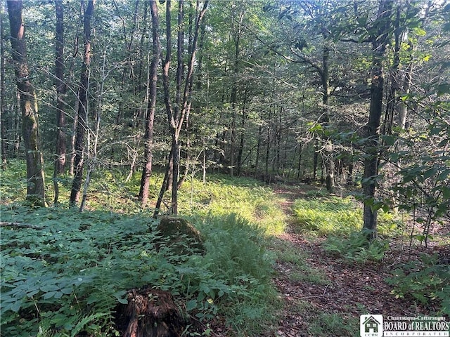 6715 Bailey Hill Rd, Leon, NY 14719 - photo 7
