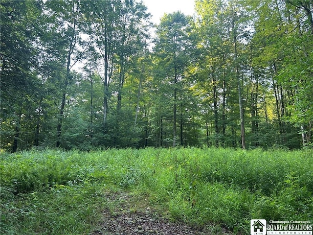 6715 Bailey Hill Rd, Leon, NY 14719 - photo 10
