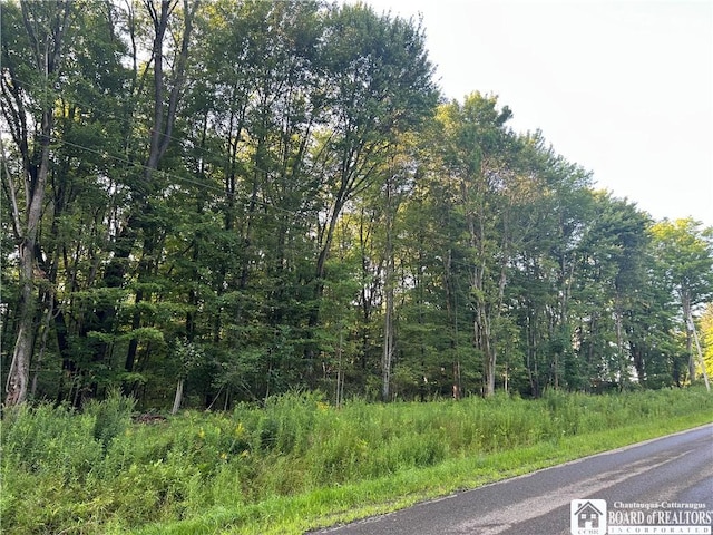 6715 Bailey Hill Rd, Leon, NY 14719 - photo 11