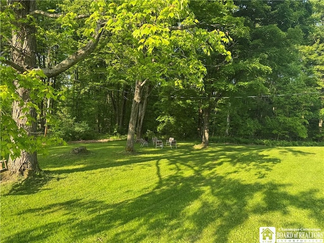 6715 Bailey Hill Rd, Leon, NY 14719 - photo 14