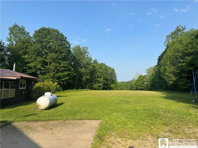 6715 Bailey Hill Rd, Leon, NY 14719 - photo 15
