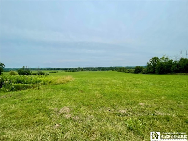 12453 Flood Rd, Conowingo, NY 14772 - photo 50