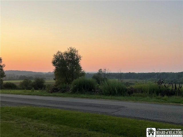 12453 Flood Rd, Conowingo, NY 14772 - photo 4
