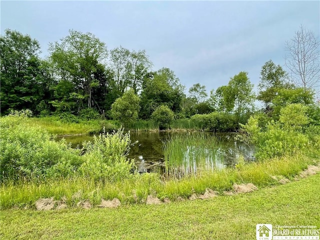 12453 Flood Rd, Conowingo, NY 14772 - photo 14