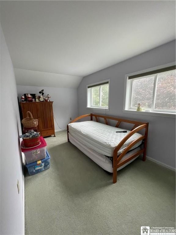 12453 Flood Rd, Conowingo, NY 14772 - photo 39