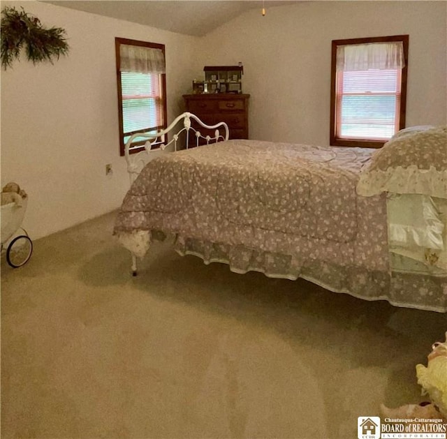 12453 Flood Rd, Conowingo, NY 14772 - photo 46