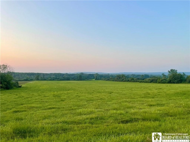 12453 Flood Rd, Conowingo, NY 14772 - photo 47