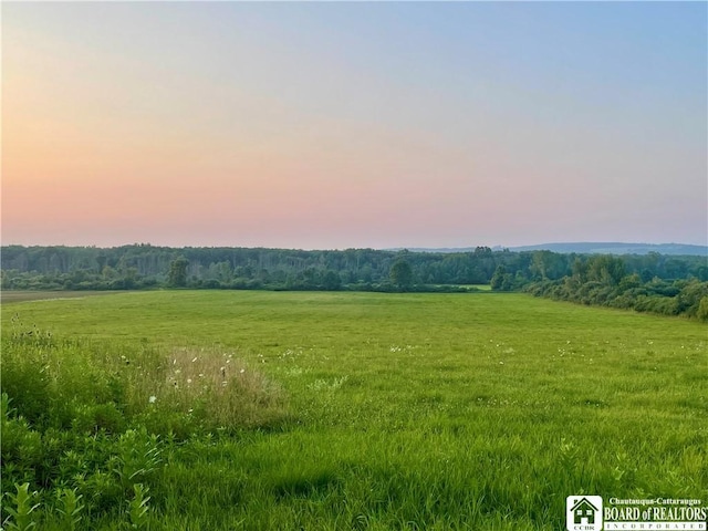 12453 Flood Rd, Conowingo, NY 14772 - photo 48