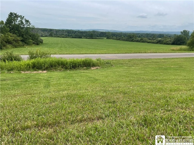 12453 Flood Rd, Conowingo, NY 14772 - photo 49
