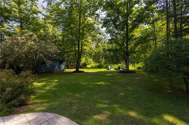2123 E Kent Rd, Carlton, NY 14477 - photo 45
