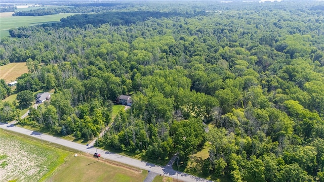 2123 E Kent Rd, Carlton, NY 14477 - photo 48